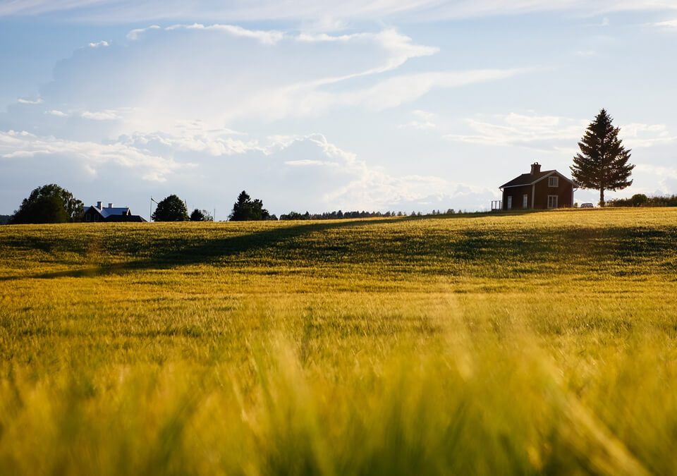 無端遭起訴塗銷地役權，律師妙語保全利益