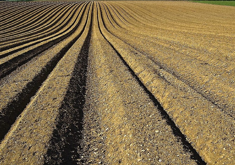 不動產糾紛!協商未定,對方直接找怪手挖空土地,怒請律師提起訴訟!