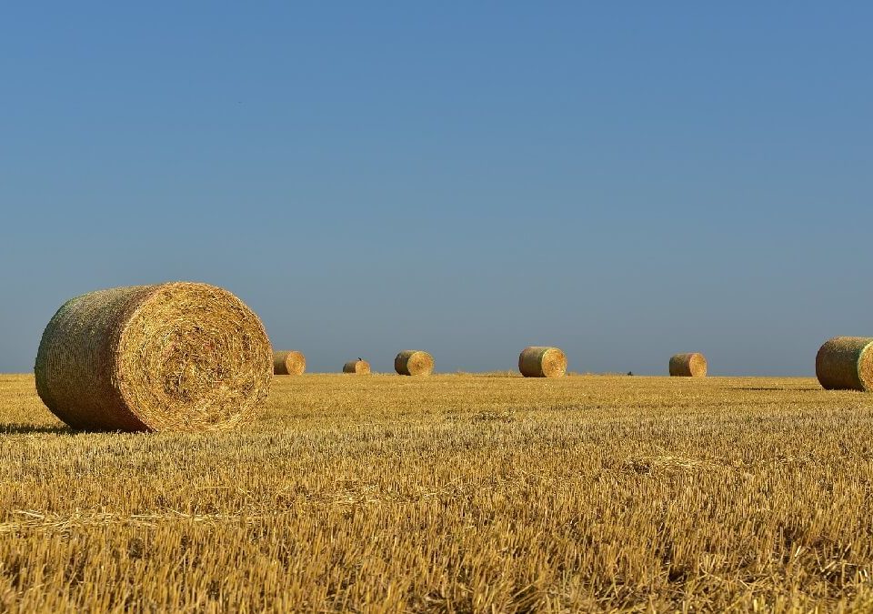 兄妹遺產繼承糾紛!想獨佔部分土地,成功委請律師駁回分割遺產訴訟