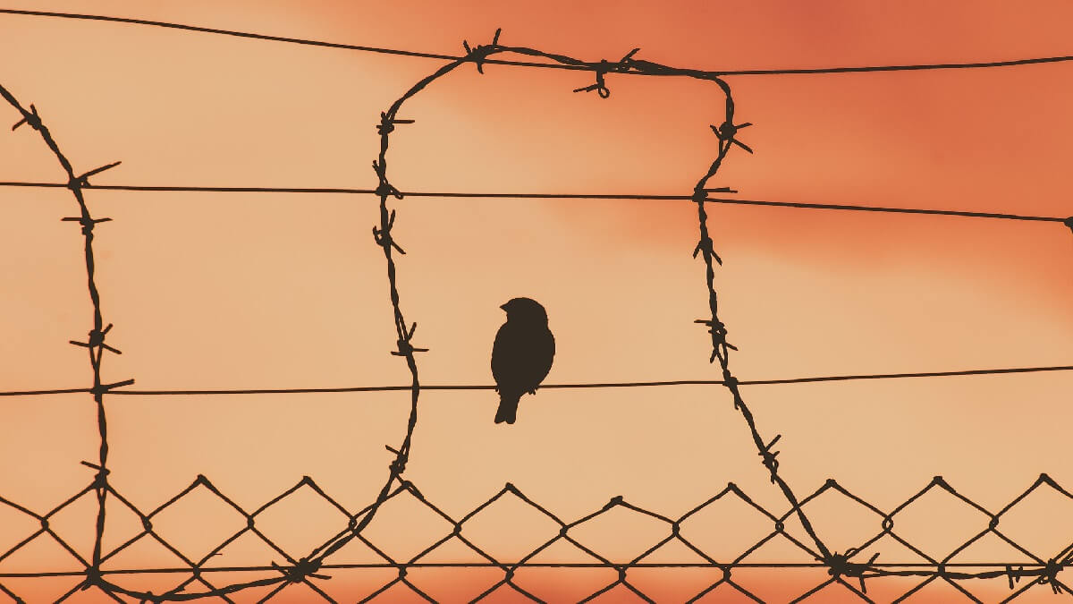 羈押要件你清楚了嗎?若要停止羈押須具備哪些條件?