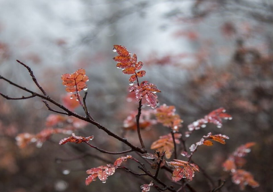 何謂公訴罪？公訴罪定義、公訴罪種類有哪些一次告訴你