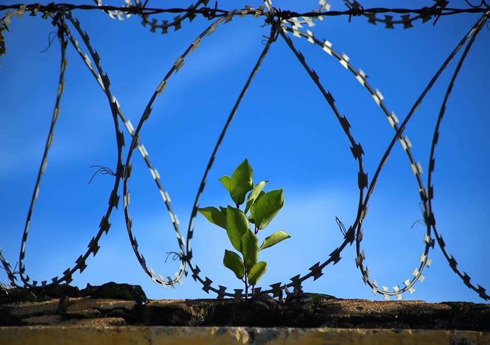 羈押禁見大約多久?一次了解羈押禁見生活、法條與期限查詢