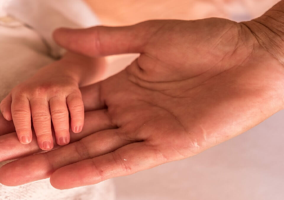 前夫女友阻撓探視!慈母為維繫親子感情聘台中律師聲請改定監護