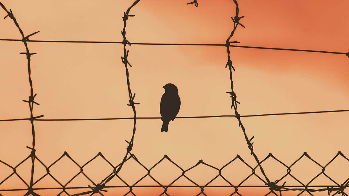 收押禁見原因是什麼？收押禁見你不可不知的五件事！