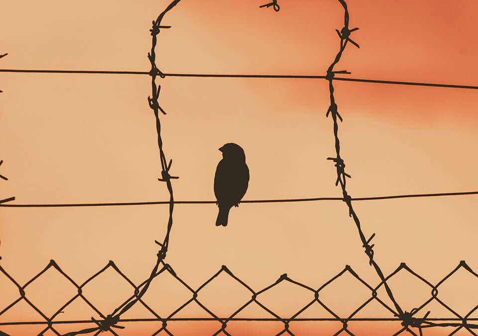 收押禁見原因是什麼?收押禁見你不可不知的五件事!