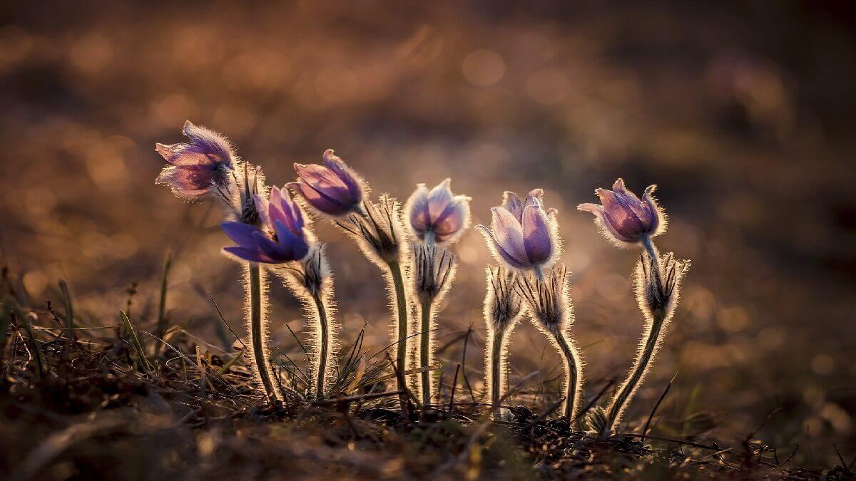 好心金援,分手後竟翻臉不認帳,委嘉義律師聲請支付命令討借款