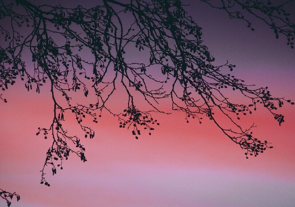 遵循公司潛規則,卻被控業務侵占,委任台中律師爭取不起訴處分